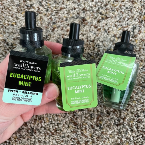 Bath & Body Works Other Bath Body Works Wallflower Plugs Eucalyptus